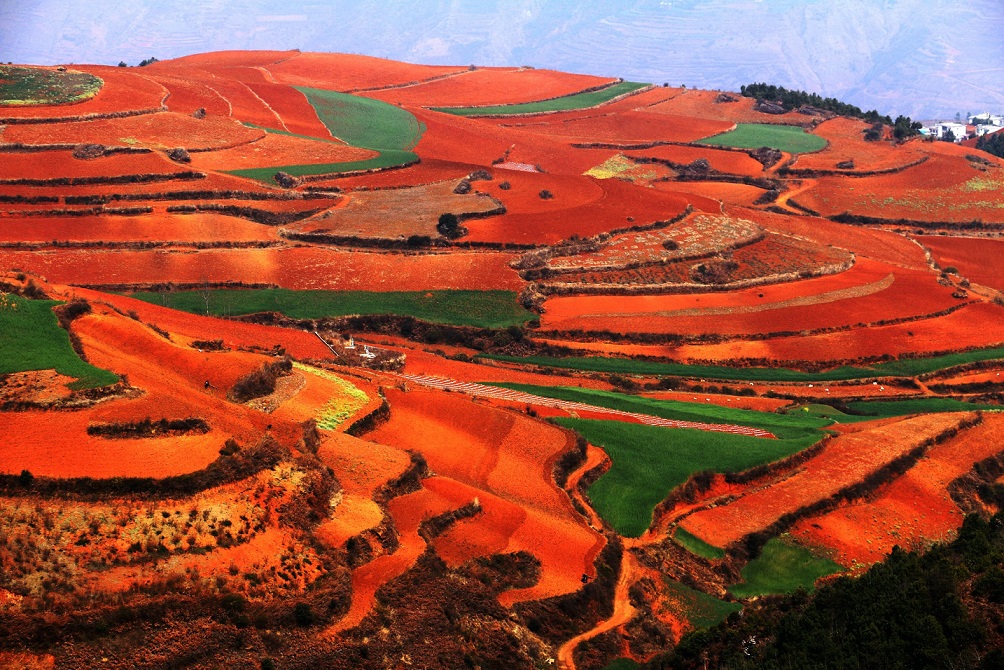 昆明東川紅土地旅游攻略