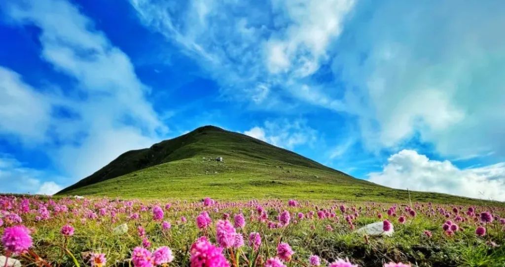 昆明定制旅游